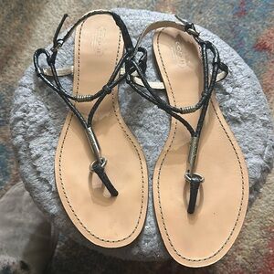 COACH Leather Thong Sandals - Black